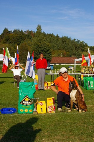 www.boxer-show.eu